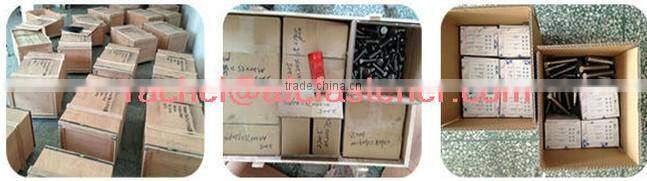 din1.4539 hex acorn cap nuts cap nut M8 dome cap nuts