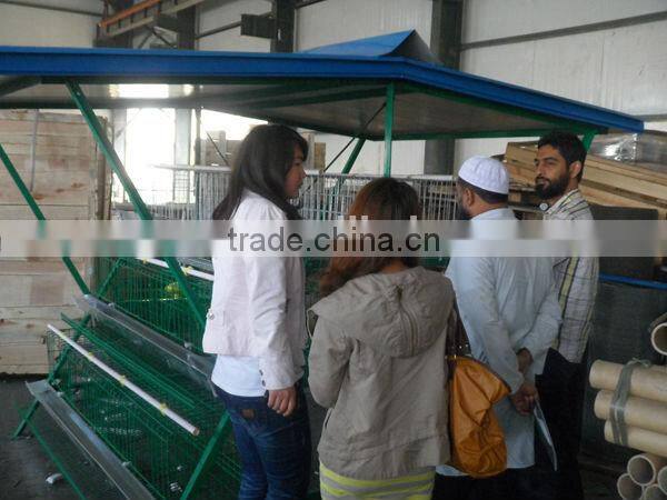 Poultry Farming Chicken Cage System