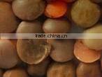Intelligent CCD lentil color sorter machine