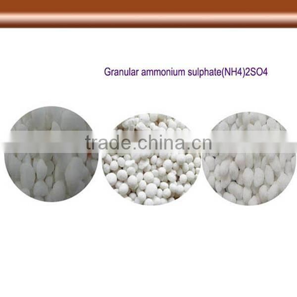 Granular ammonium sulphate specification competitive price