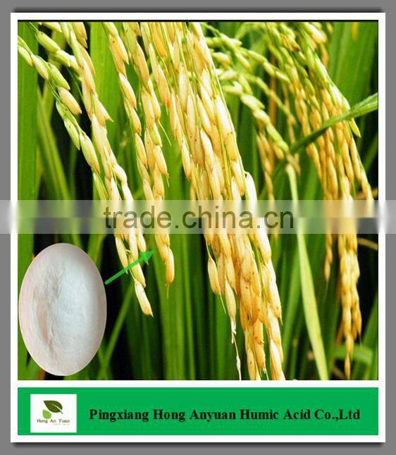 making potassium nitrate KNO3 / potassium nitrate for sale / fertilizer potassium nitrate