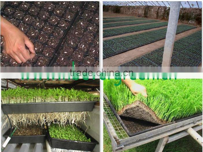 Greenhouse plastic PVC Nursery tray pots