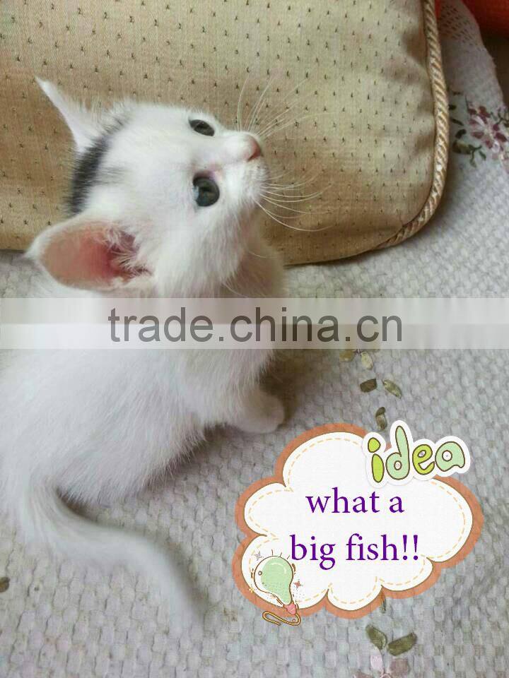 fish landing nets,fishing nets on sale