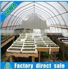 Simple frame Single-Span Greenhouses agriculture agriculture related products