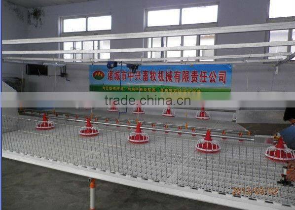 broiler chicken feeder