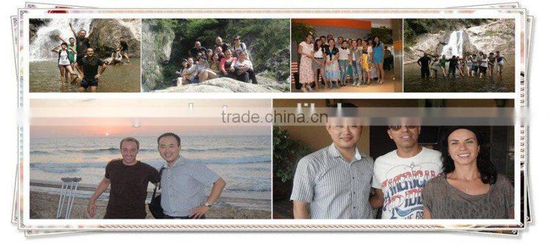 plain weaved square mesh screen net, anti fly net