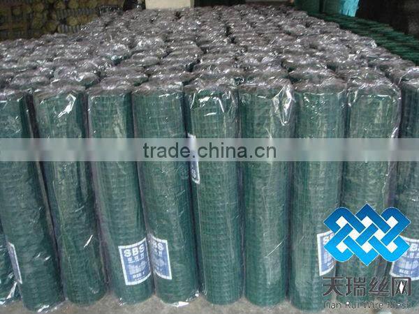 Anping welded wire mesh (Hot sale)