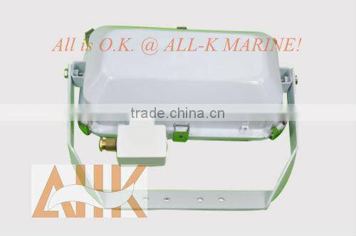 High Pressure Sodium Lamp Flood Lighting Fixtures
