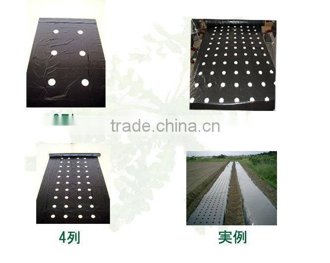 PE agricultural black mulch film with different holes
