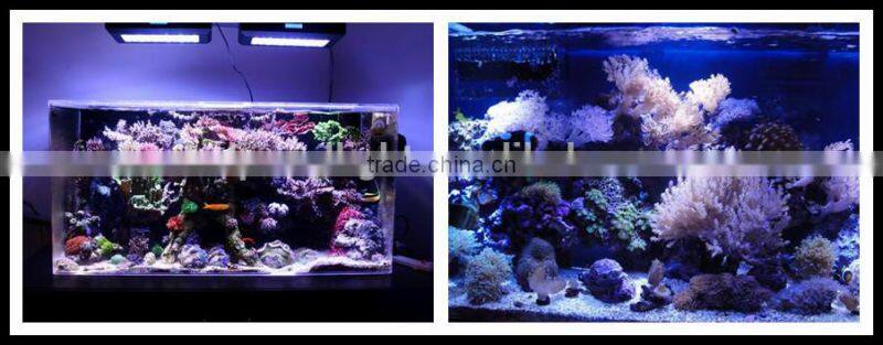 Professional Manufactur 150w led aquarium light
