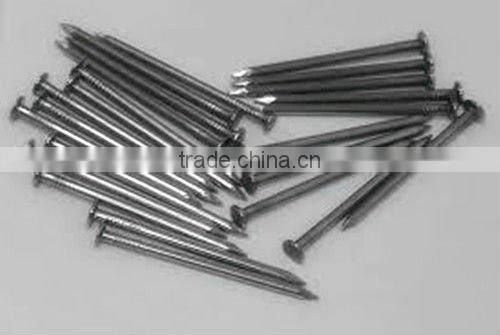 Shoe Tack Nails-Hebei China Supply Best Quality and Price