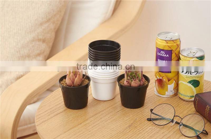 Round Clear Plastic Orchid Pot