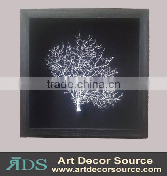 Marine Plants in Shadow Box Frame