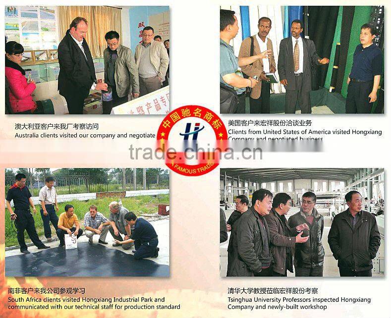 Manufacture of 300g continuous Filament needle punched nonwoven geotextile fabric with best price