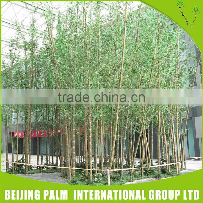 Ecological Artificia Bonsai Plants For Sale