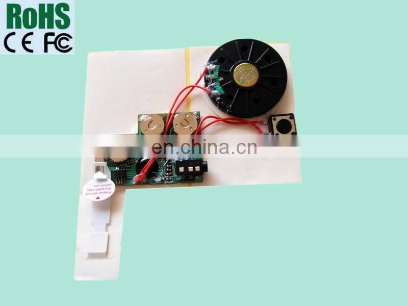 High Quality Small Voice Recorders for Cards chip ic