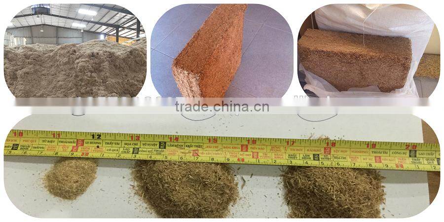 Sugar cane bagasse block