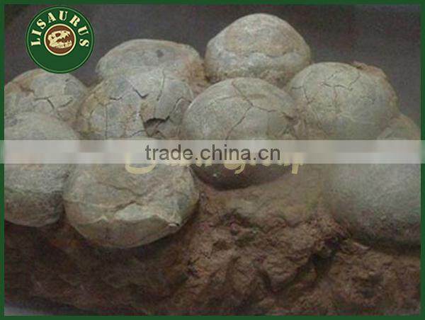 Lisaurus-LA Simulation dinosaur fossils eggs for sale
