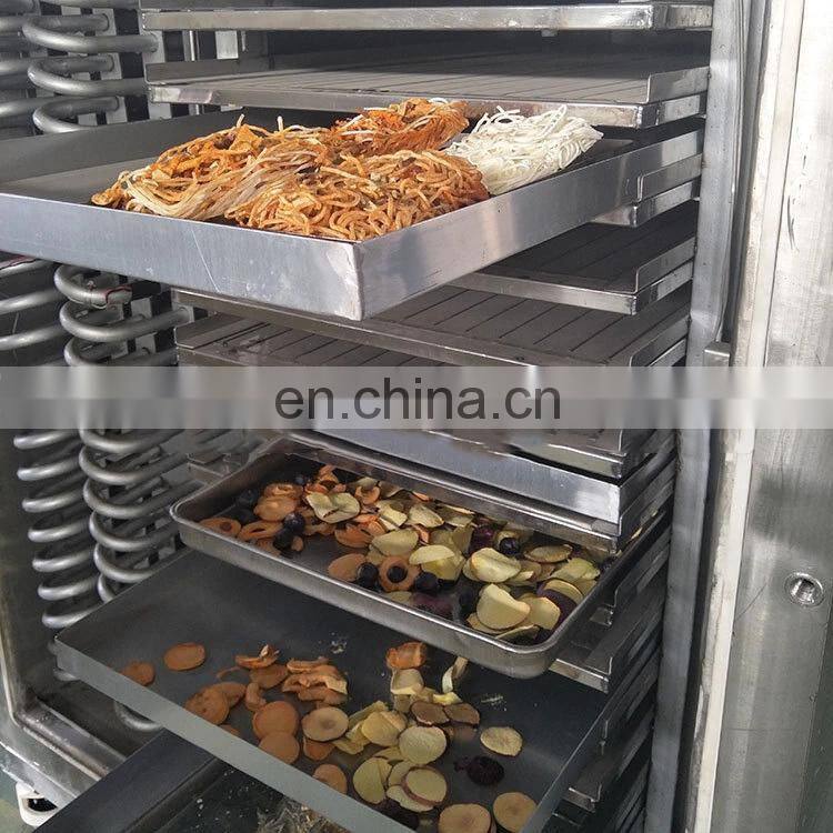 OrangeMech commercial vacuum fruit/strawberry/mango freeze dryer lyophilization machine/freeze drying equipment
