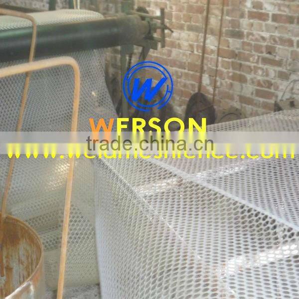 werson plastic flat netting,plastic mesh Opening Size: 1.2cm