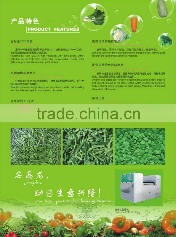 Frozen vegetables color sorter