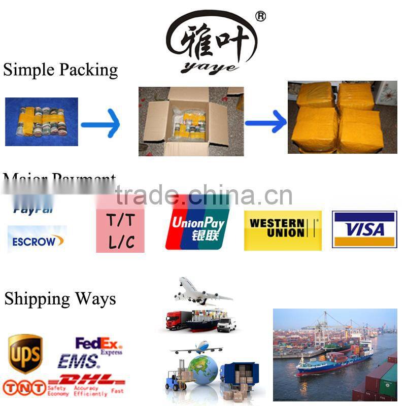 Natural Stone Blue Aventurine Gemstone Specimen