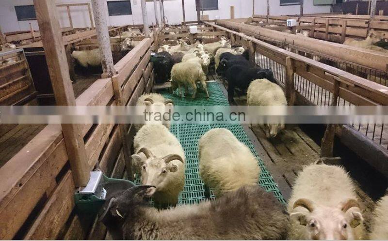 2016 plastic leak dung board for farrowing crate/goat flooring