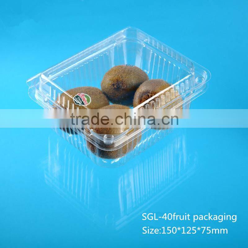 Factory price Disposable Plastic fruit packaging box with lid