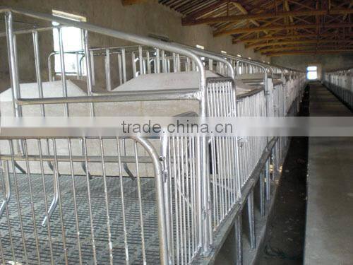sows cage farming equipment cage hot sale