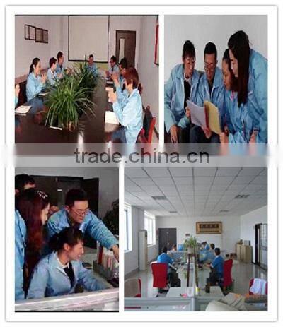 Professional Customizable-design Wireless Microphone Module