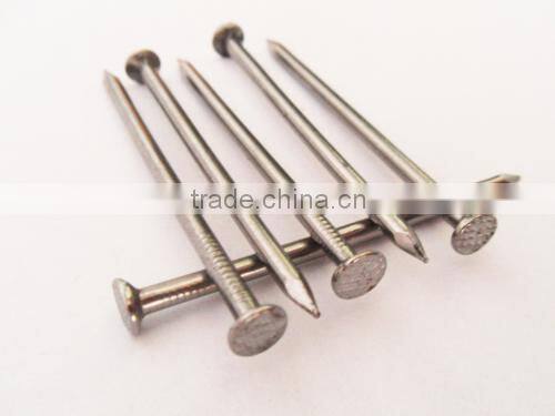 Polished Iron Nails ,Steel Common Nails For Furniture Anping Nail Price