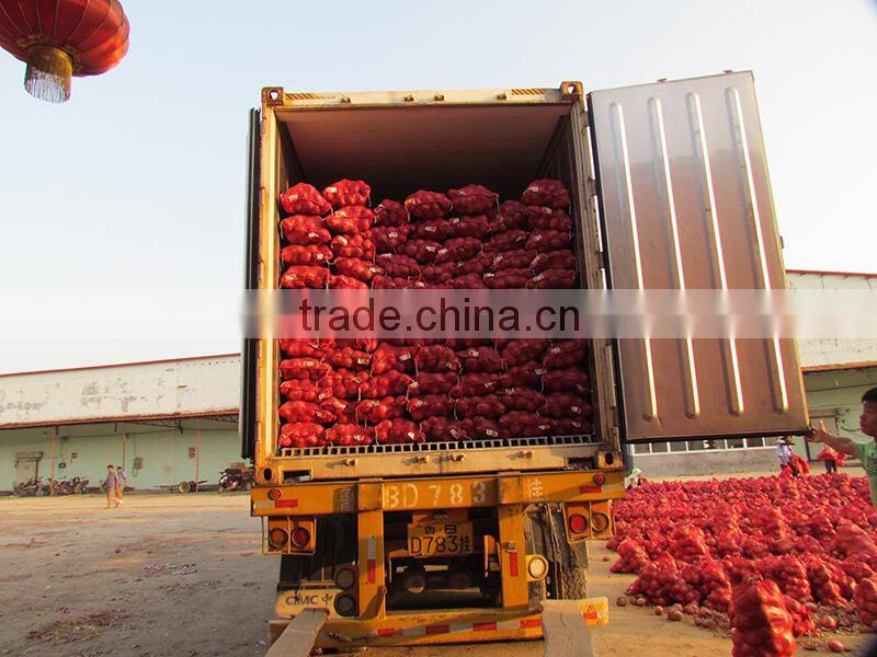70mm size red onion in 5kg mesh bag