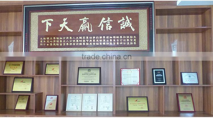 Brand new 1.0MP ip camera with high quality