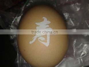 CO2 Laser marking machine for agricultural products logo and production date