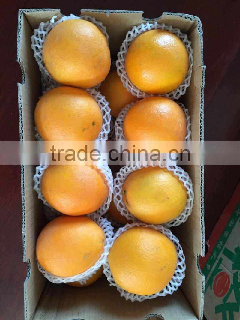 Fresh Gannan Navel Orange, best quality China Navel Orange