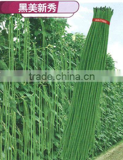 Chinese High Yield Long Green Asparagus Bean Seeds Cowpea Seeds For Sale