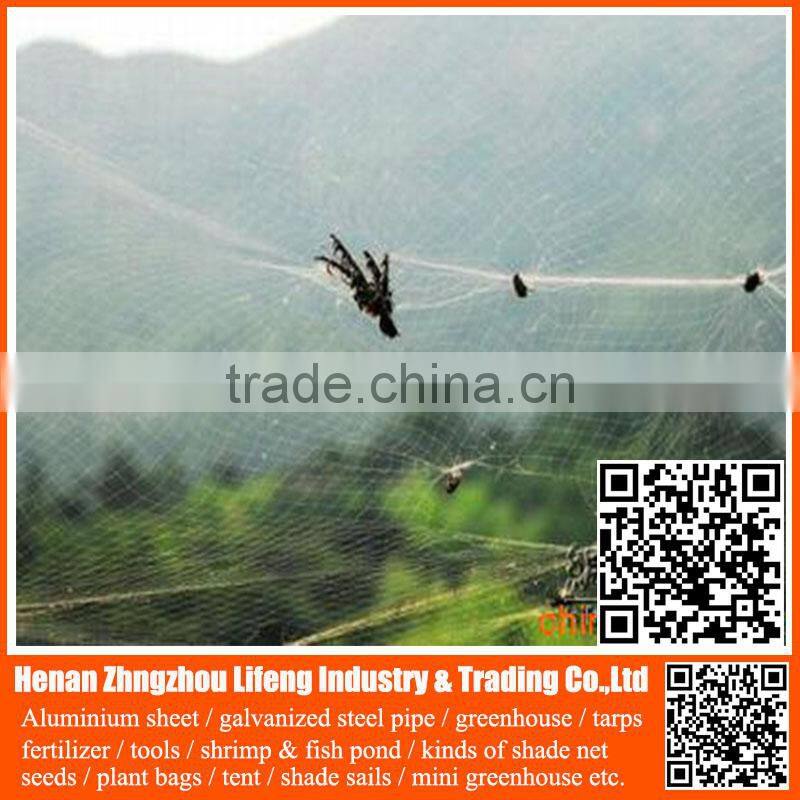 Garden Bird Trap Netting , Anti Bird Net for Agriculture