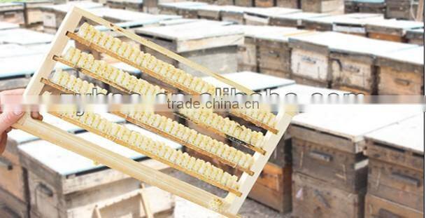 bee royal jelly/honey/propolis/beeswax