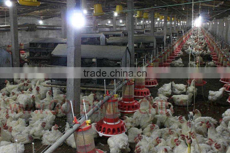 New type piston guage broiler breeder pan feeder for breeder house