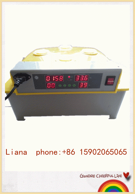Vlais Mini egg incubators, fullly Automatic 48 Egg Incubator For Sale,chicken eggs incubator