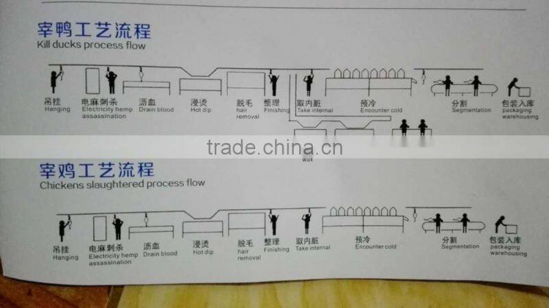 Poultry slaughtering line/chicken slaughter line