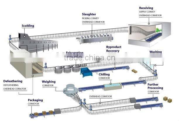 poultry processing slaughtering equipment For chicken slaughterhouse