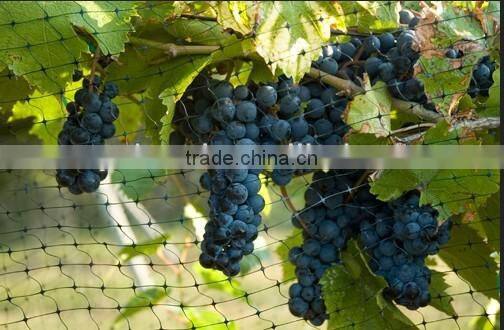 width 2m, length 50m anti bird net