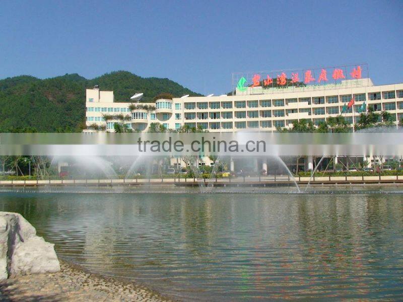 Large scale musical dancing fountain project