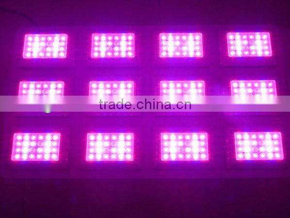 growing healthily with the led grow lights system