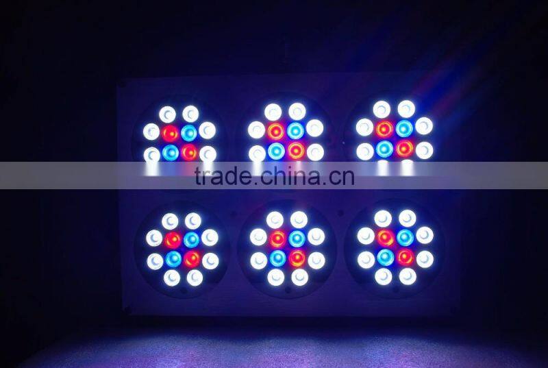 High quality apollo cob 6 led grow light for grow plant