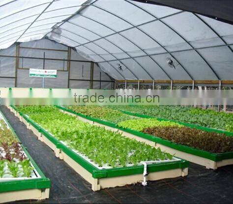 Hot sale single-span plastic grow tent/green house for agriculture