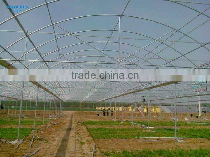 Aquaponic Tomato Greenhouse For Sale