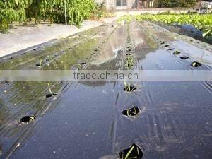 Agricultural perforated plastic film manufacturer