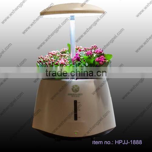 Mini hydroponic smart garden